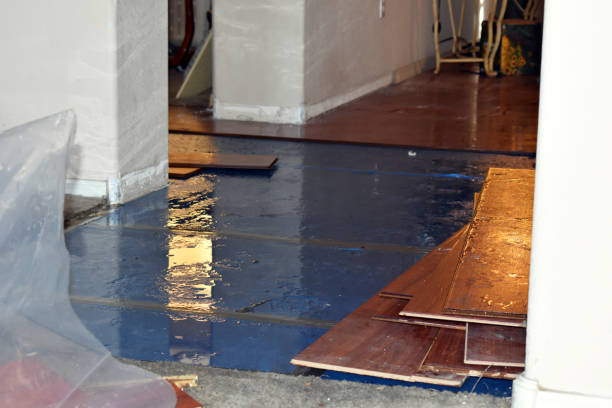 Professional Burst Pipe Water Damage technician working in Chapman Ranch, TX